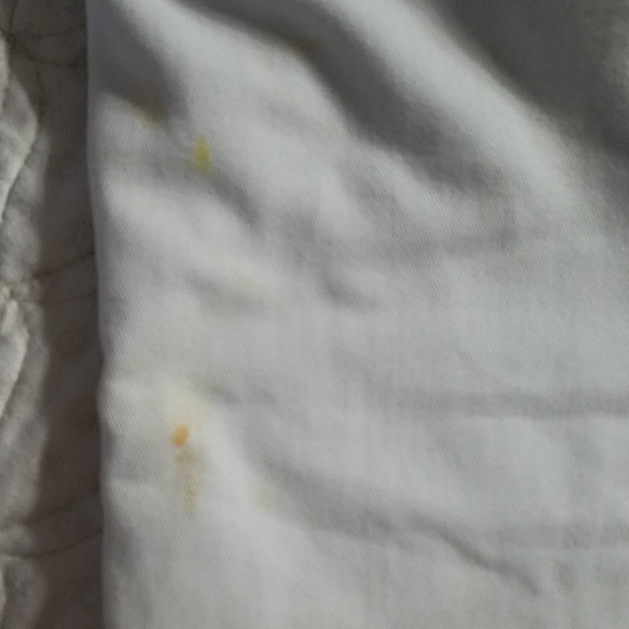 Shorts - Picture 4 of 4